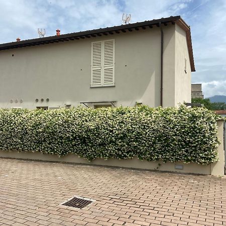 Casa Ariel Villa Lucca Bagian luar foto
