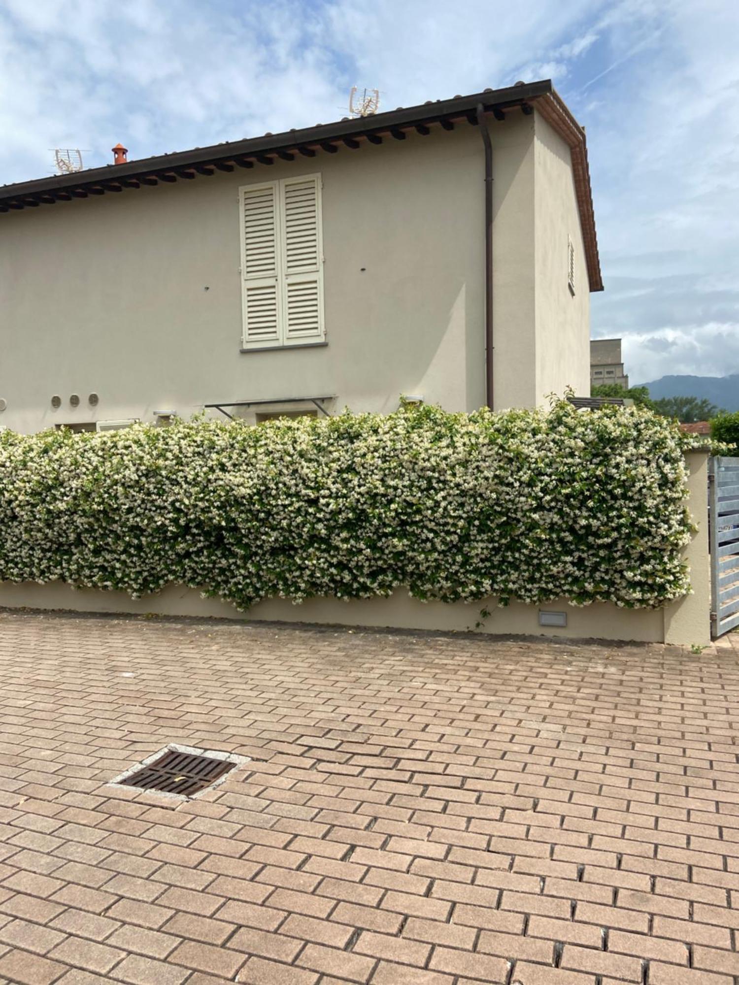 Casa Ariel Villa Lucca Bagian luar foto
